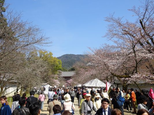 醍醐寺の境内