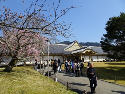 2017　醍醐寺しだれ桜と霊宝館