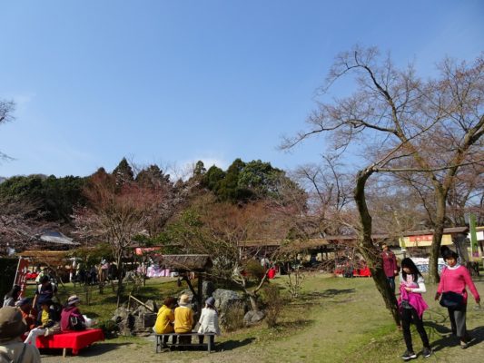 2017　醍醐寺休憩処　２