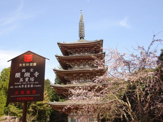 京都醍醐寺のしだれ桜　と国宝の五重塔