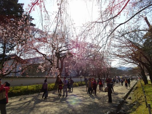 京都　醍醐寺の境内　観光客