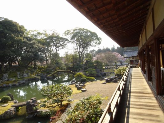 京都　醍醐寺の三宝院の庭園を廊下から撮影２