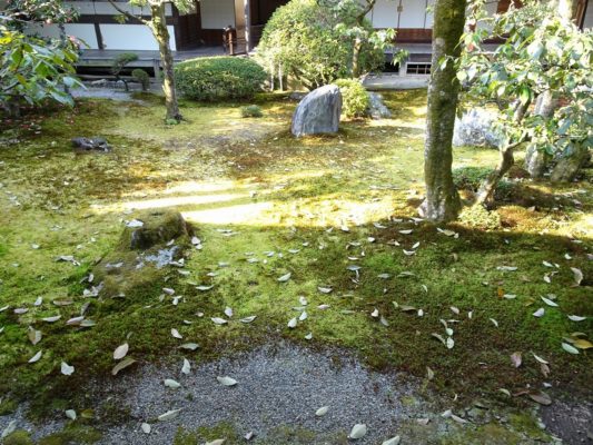 京都　醍醐寺の三宝院の裏庭