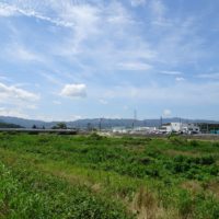 こだわりの桐たんすの社長ブログ　泉州の梅雨の晴れ間は夏の気配！