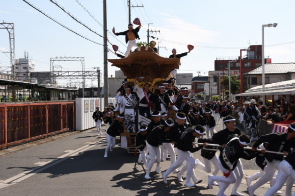 2017年　春木だんじり祭り　春木旭町　試験引き　写真２