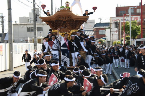 2017年　春木だんじり祭り　春木旭町　試験引き　写真５