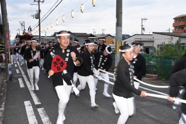 29年　春木だんじり祭り　曳きだし　曳行