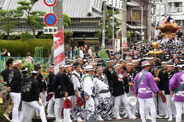 29年　春木旭町　宮入り待機中