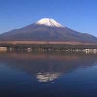 あわただしい年末から寅年のお正月を迎えたと思えば明日からえべっさんの宵宮がはじまります