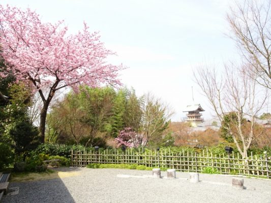 高台寺入口からの景色