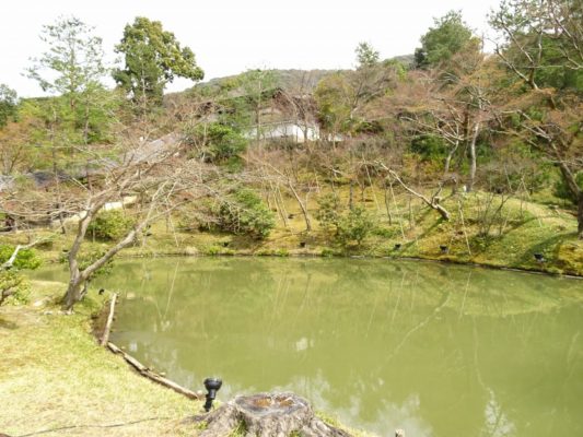 高台寺臥龍池