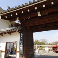 こだわり桐箪笥の社長ブログ　昨年の春に訪れた浄土宗総本山　知恩院のご紹介です。