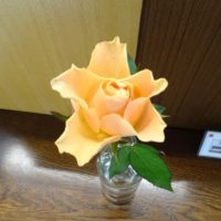 こだわりの桐箪笥の社長ブログ　心安らぐ桐箪笥とお花の初音のショールーム！
