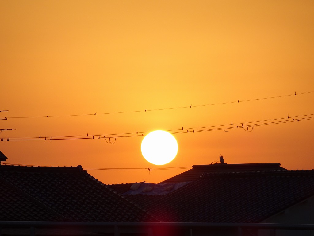 泉大津川から見た夕日の写真