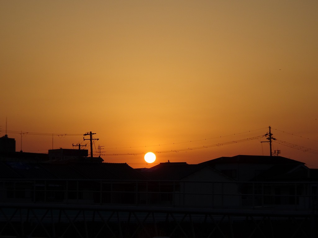 泉大津川から見た夕日