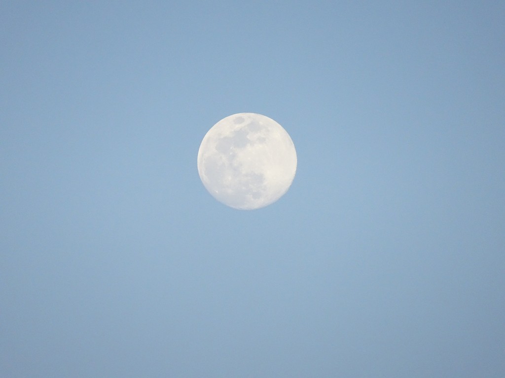 お月さんのズームアップ　写真