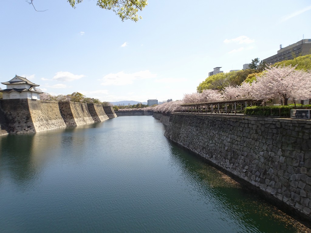 外堀沿いの桜