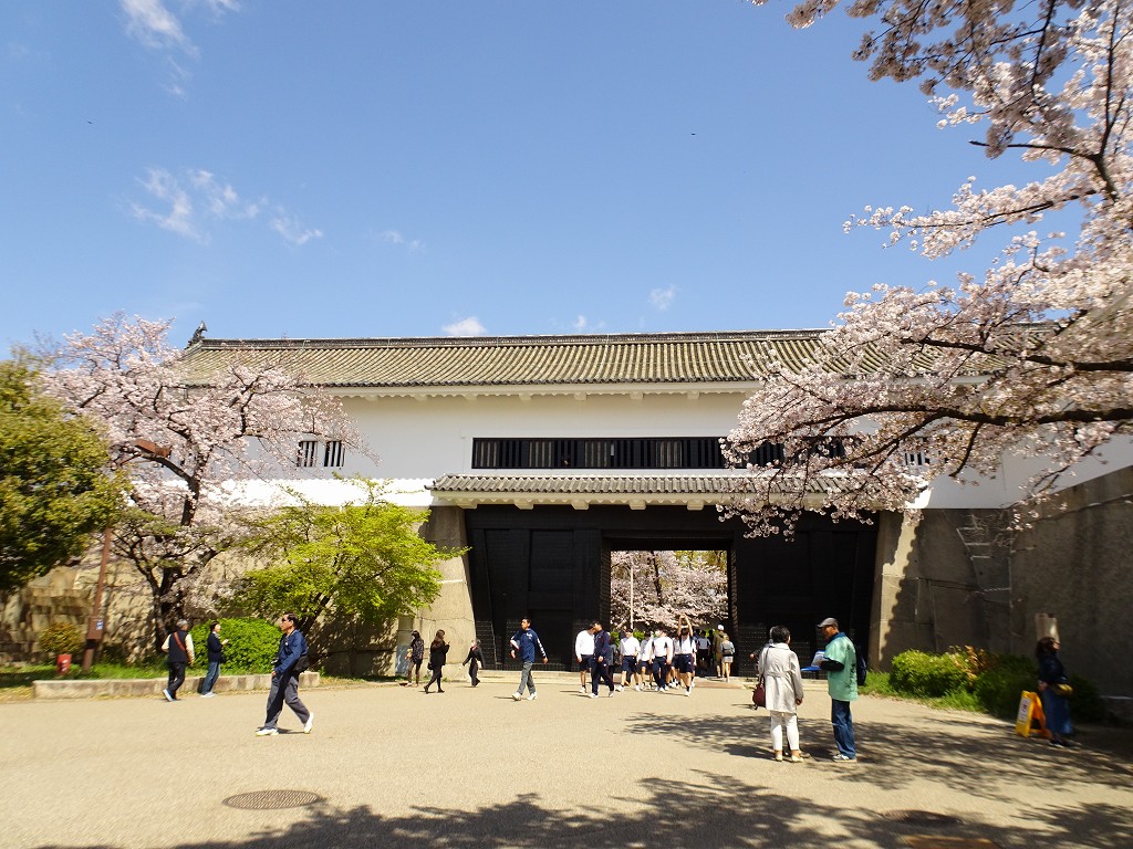 2019年　大阪城　桜　こだわりの桐たんすの社長ブログ