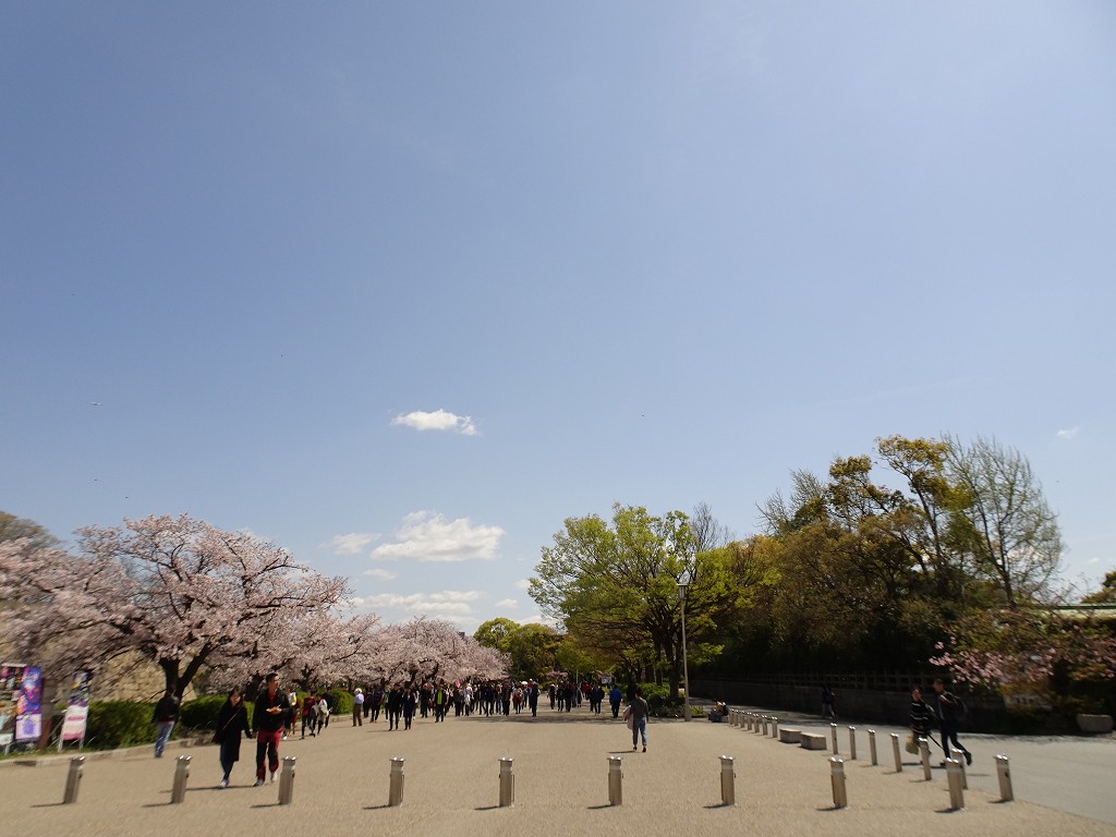 2019年　大阪城　桜　こだわりの桐たんすの社長ブログ