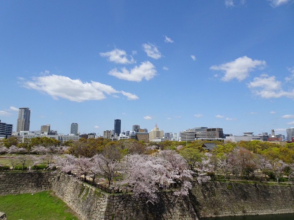 2019年　大阪城　桜　　二の丸庭園　こだわりの桐たんすの社長ブログ
