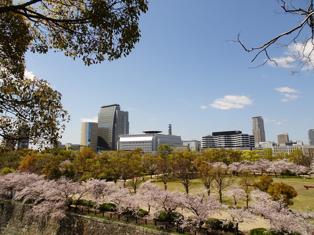 2019年　桜　こだわりの桐たんすの社長ブログ