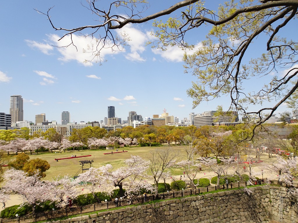 2019年　桜　こだわりの桐たんすの社長ブログ