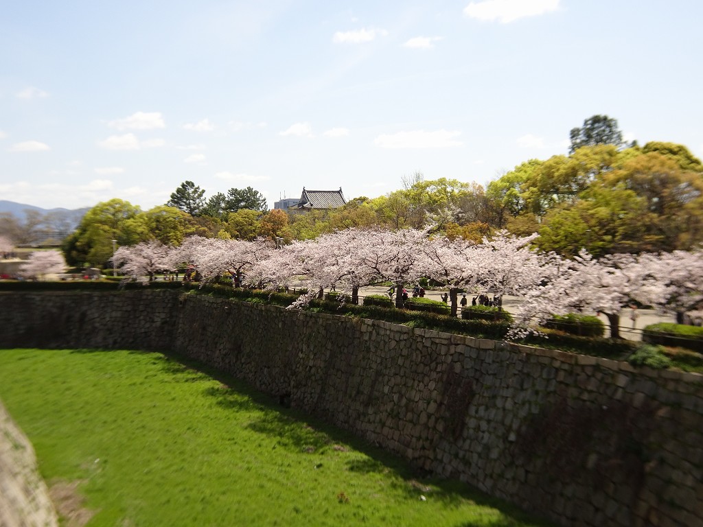 2019年　大阪城　桜　こだわりの桐たんすの社長ブログ