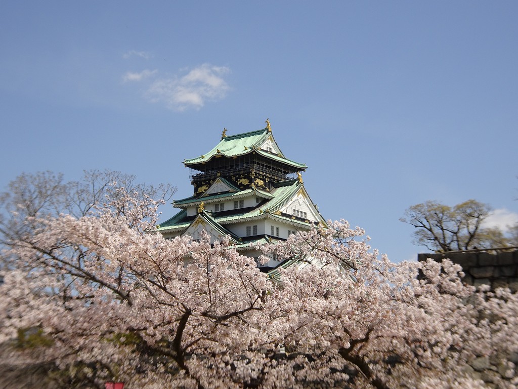 2019年　大阪城　桜　西ノ丸庭園　こだわりの桐たんすの社長ブログ