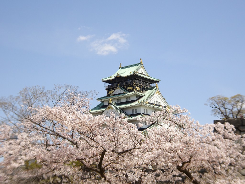 2019年　大阪城　桜　西ノ丸庭園　こだわりの桐たんすの社長ブログ