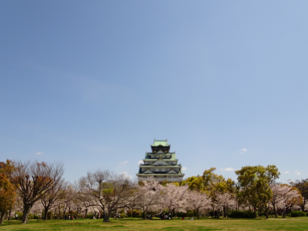 2019年　大阪城　桜　こだわりの桐たんすの社長ブログ