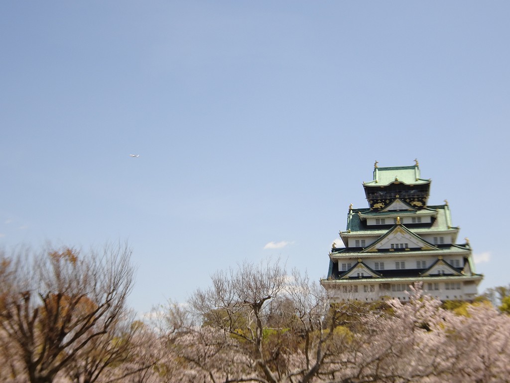 2019年　大阪城　桜　こだわりの桐たんすの社長ブログ