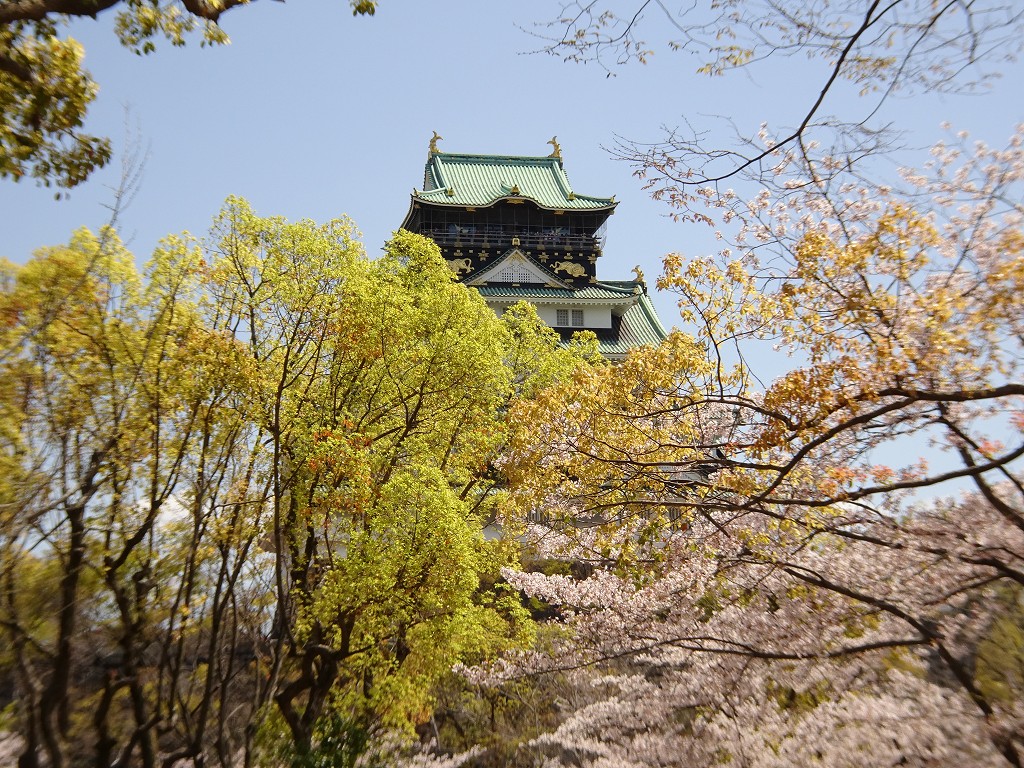 2019年　大阪城　桜　こだわりの桐たんすの社長ブログ