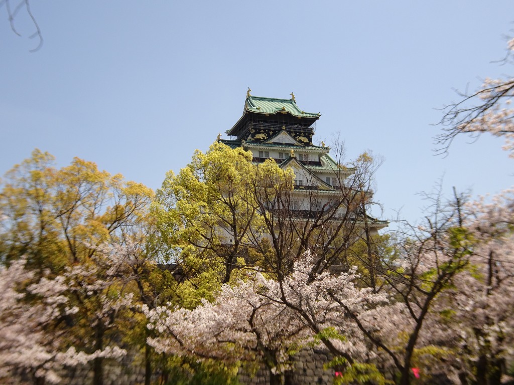 2019年　大阪城　桜　こだわりの桐たんすの社長ブログ