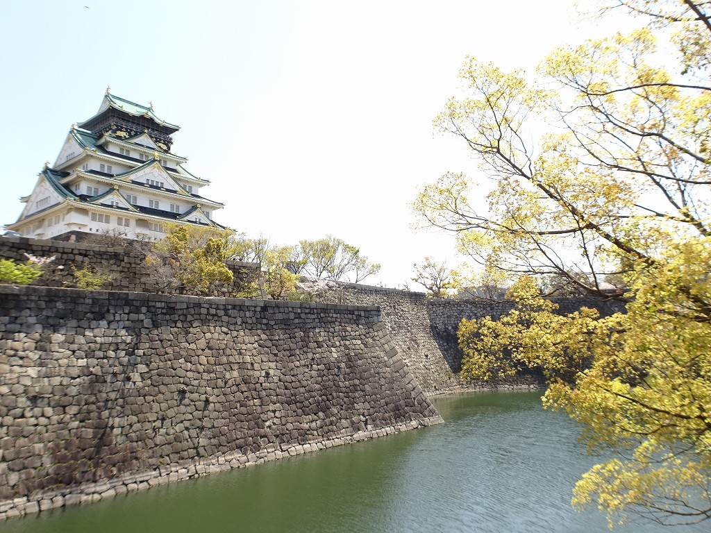 2019年　大阪城　桜　こだわりの桐たんすの社長ブログ