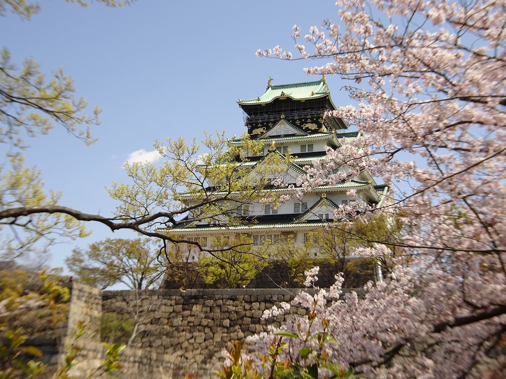 2019年　大阪城　桜　こだわりの桐たんすの社長ブログ