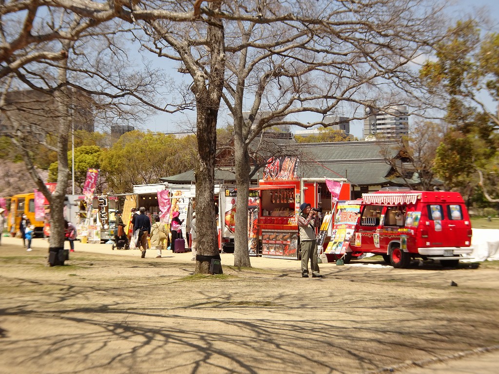 2019年　大阪城　桜　こだわりの桐たんすの社長ブログ