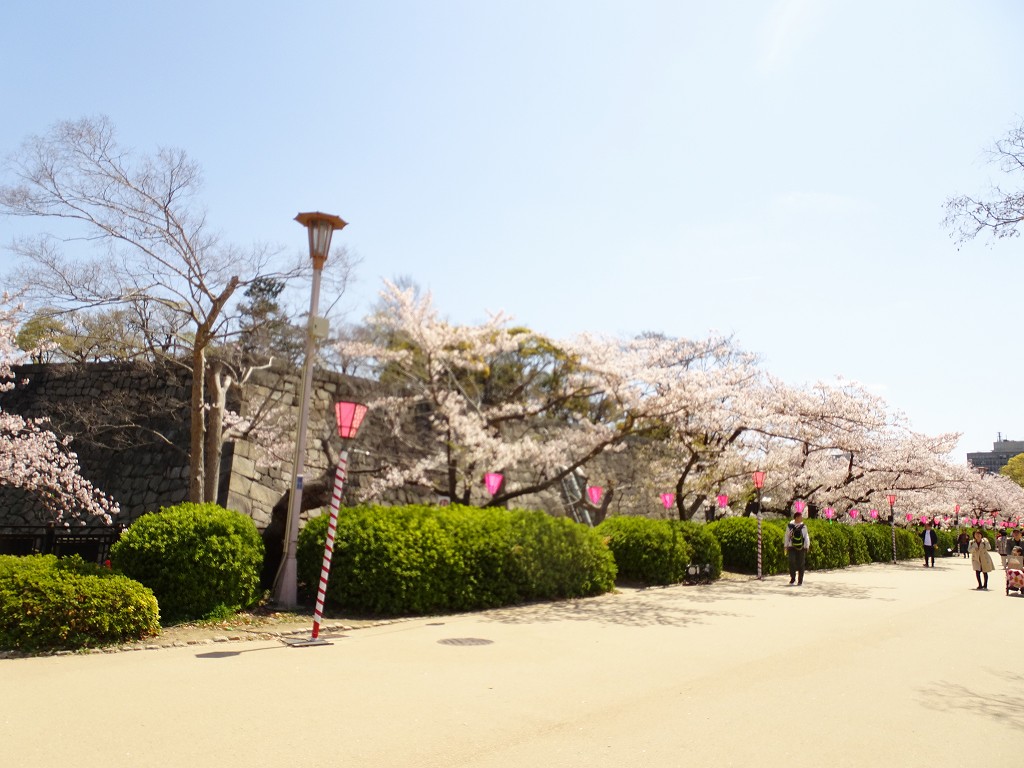 2019年　大阪城　桜　西ノ丸庭園　こだわりの桐たんすの社長ブログ