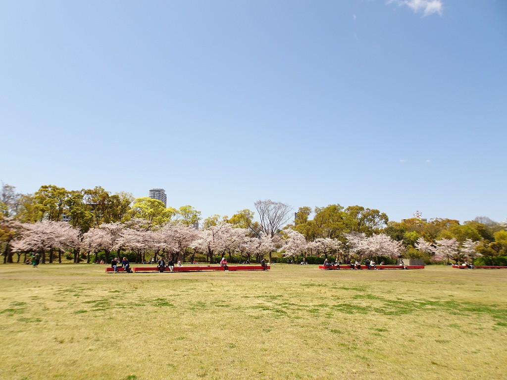 2019年　大阪城　桜　こだわりの桐たんすの社長ブログ