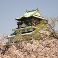 こだわりの桐箪笥の社長ブログ　今年の桜は大阪城の桜をご紹介します。