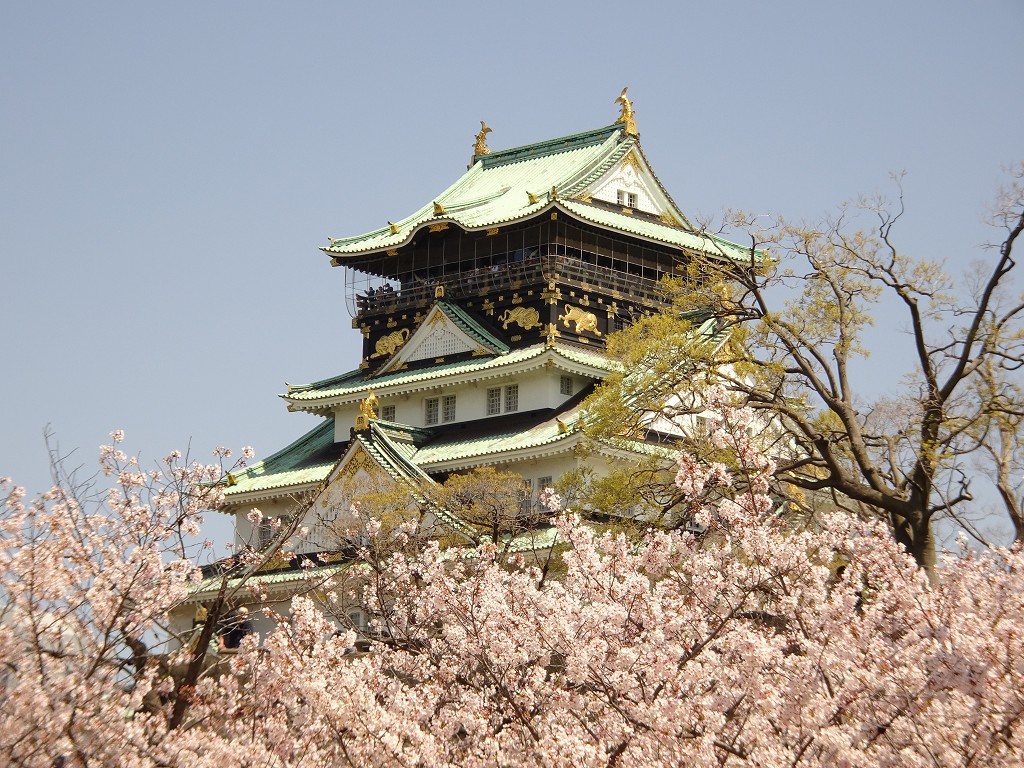 こだわりの桐箪笥の社長ブログ　今年の桜は大阪城の桜をご紹介します。