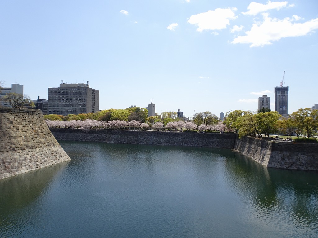 2019年　大阪城　桜　こだわりの桐たんすの社長ブログ