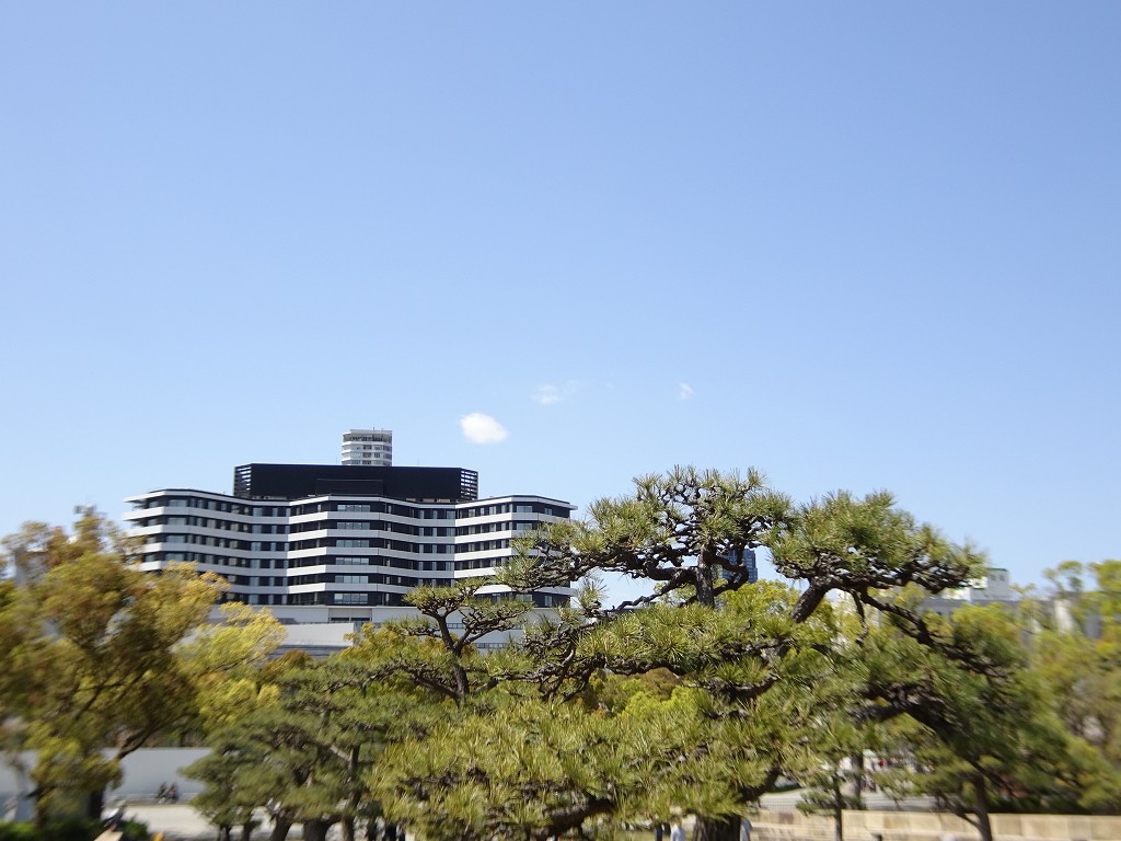 2019年　大阪城　桜　こだわりの桐たんすの社長ブログ