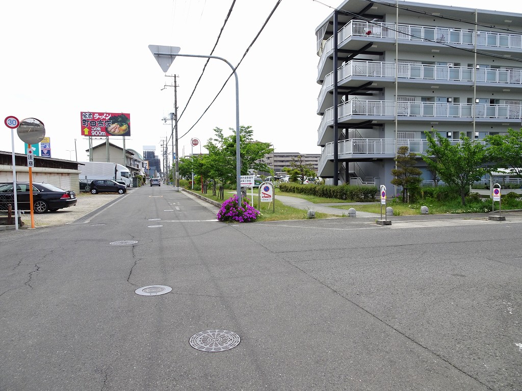 こだわりの桐箪笥の社長ブログ 近くの綺麗なお花に目がとまりました 大阪泉州桐箪笥 たんす の 初音の家具 田中家具製作所