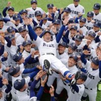 桐箪笥が大好きな社長ブログ　２０１９年夏の全国高校野球選手権大会　大阪代表　履正社高校優勝おめでとうございます。