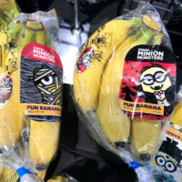 桐箪笥の社長blog　こんなバナナがあるんですね！すごいね。