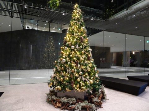 ホテルロイヤルクラッシック大阪　クリスマスツリー
