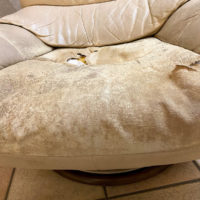 こだわりの桐箪笥の社長ブログ　カリモク家具の本革の椅子もこんなに傷むのです。
