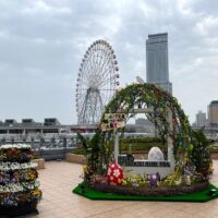 桐たんす屋の社長ブログ　大阪泉州地域も黄砂の影響を受けています。