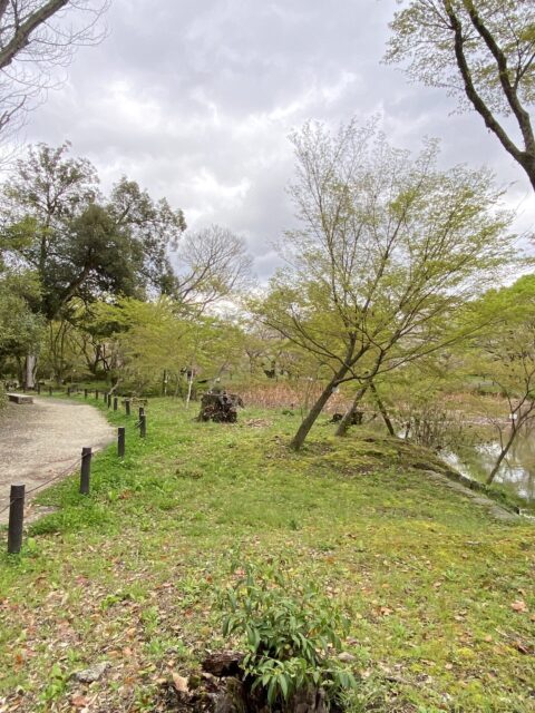 開園１００周年の京都府立京都植物園の園内