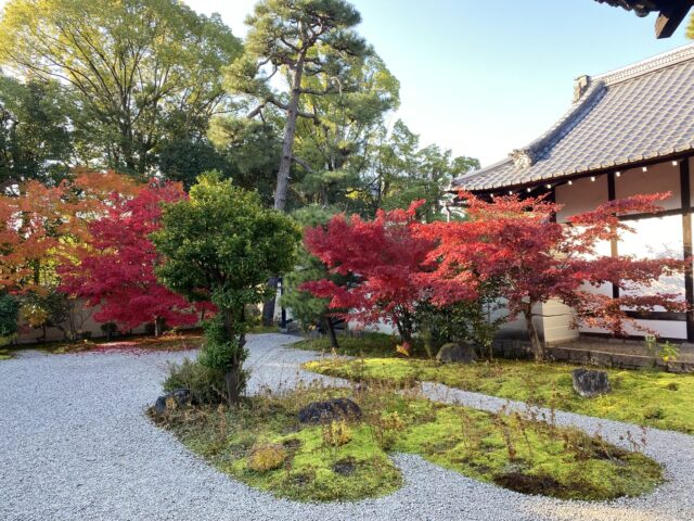 盧山寺　秋　庭園　写真　１